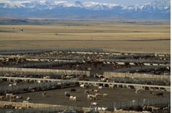 Alberta feedlot landscape