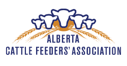 Home Alberta Cattle Feeders Association