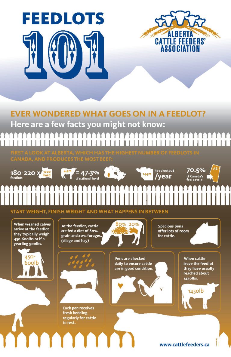 Feedlots 101 Alberta Cattle Feeders Association